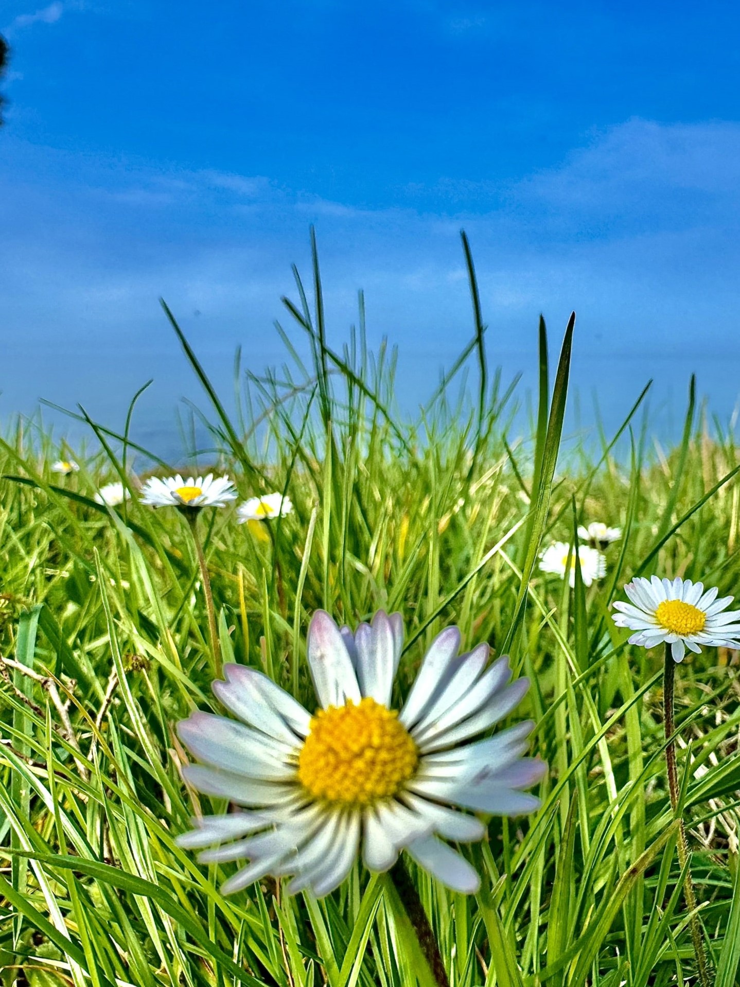 Melina Jurčić Melinadigital Foto