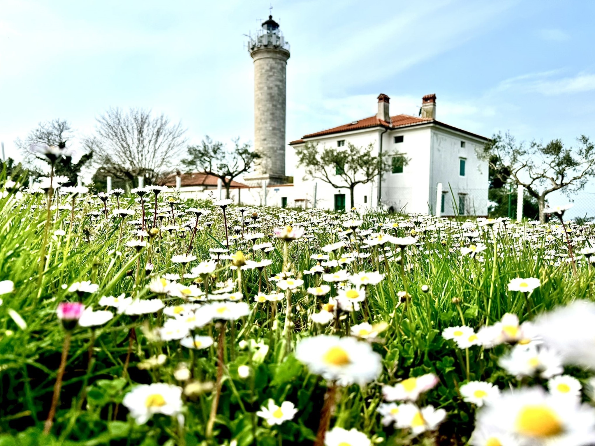 Melina Jurčić Melinadigital Foto