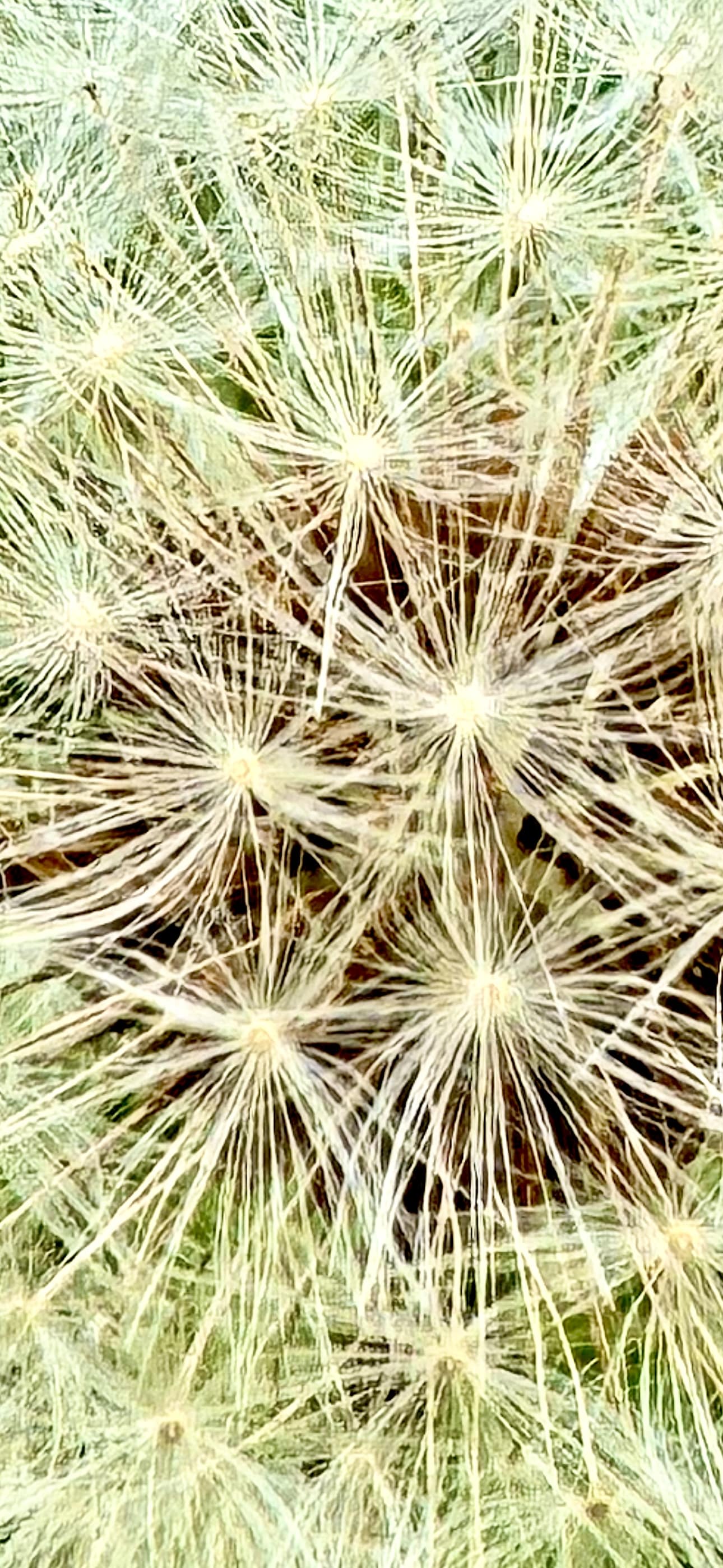 Melina Jurčić Melinadigital Foto