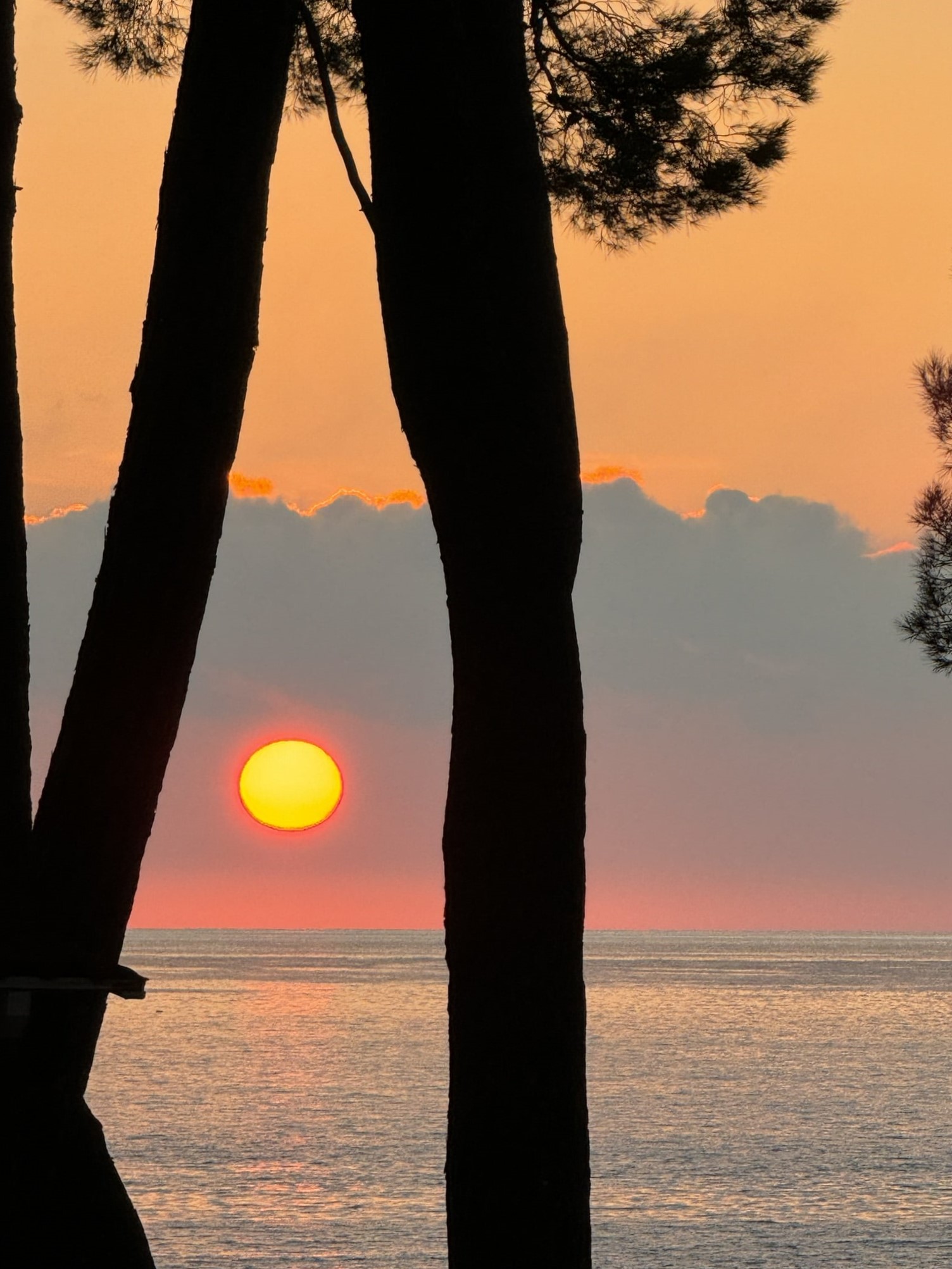 Melina Jurčić Melinadigital Foto