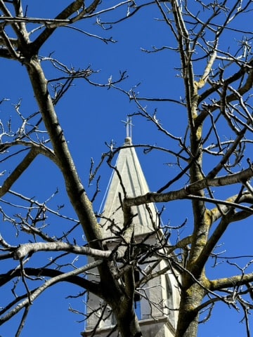 Melina Jurčić Melinadigital Foto