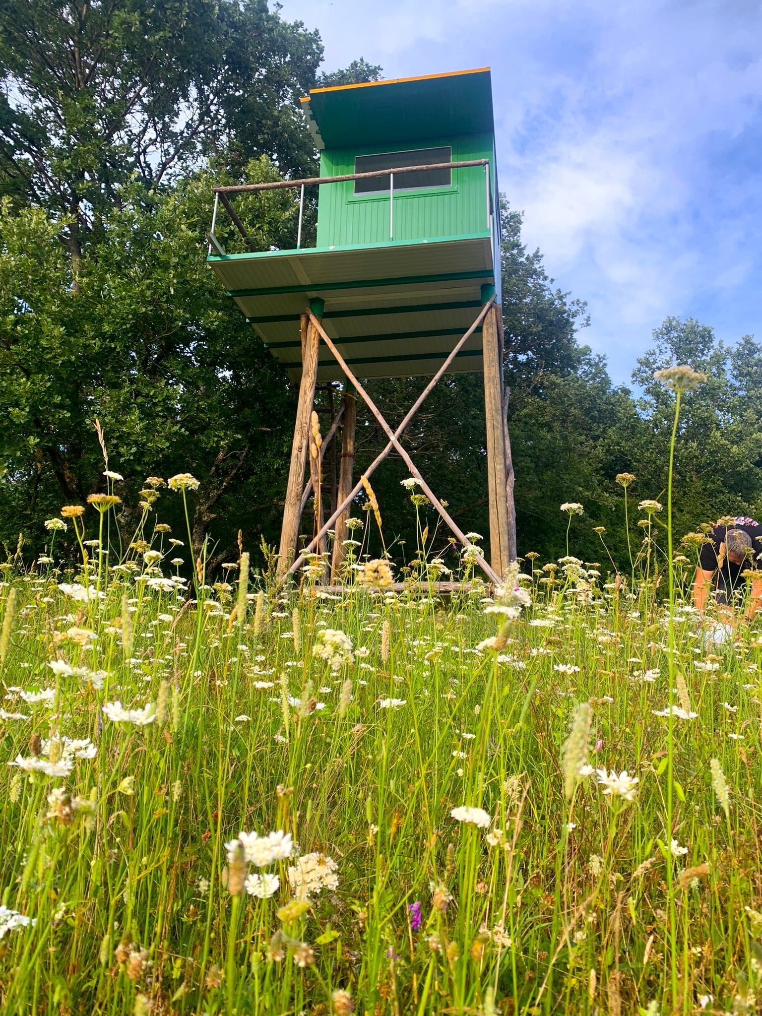 Melina Jurčić Melinadigital Foto