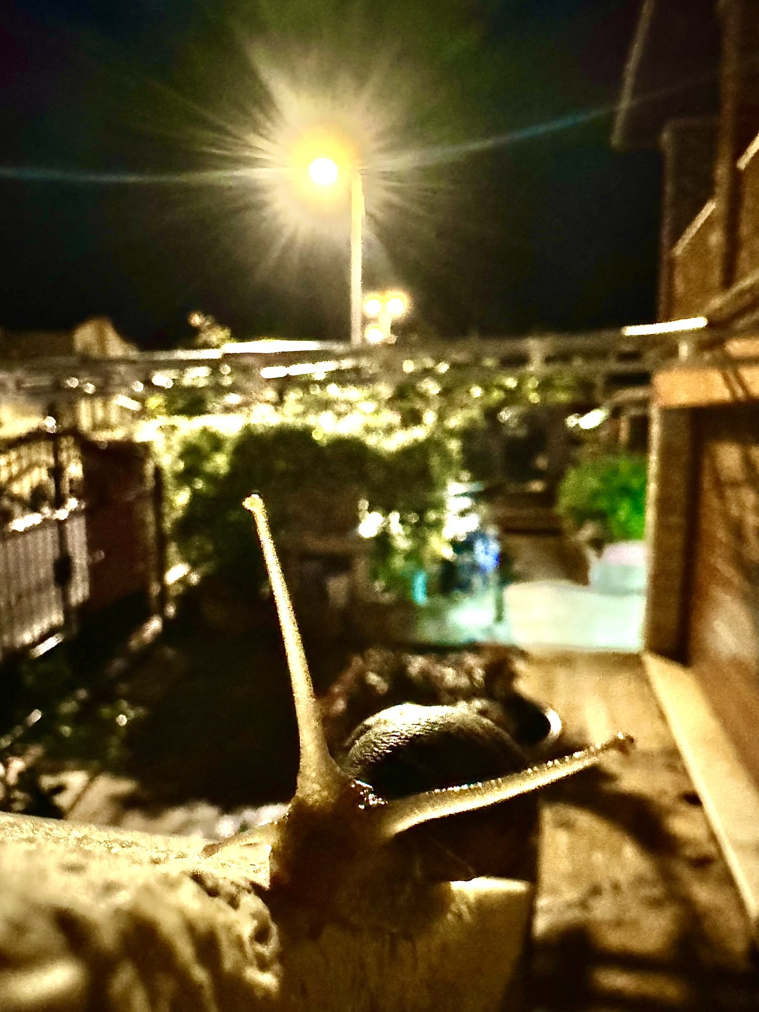 Melina Jurčić Melinadigital Foto