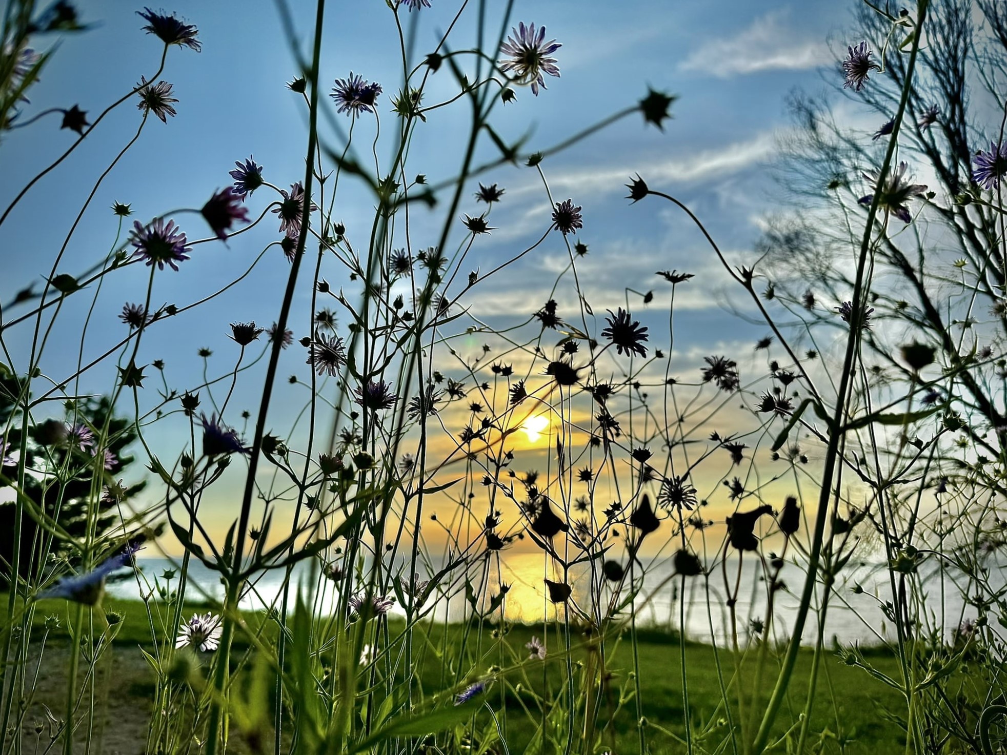 Melina Jurčić Melinadigital Foto