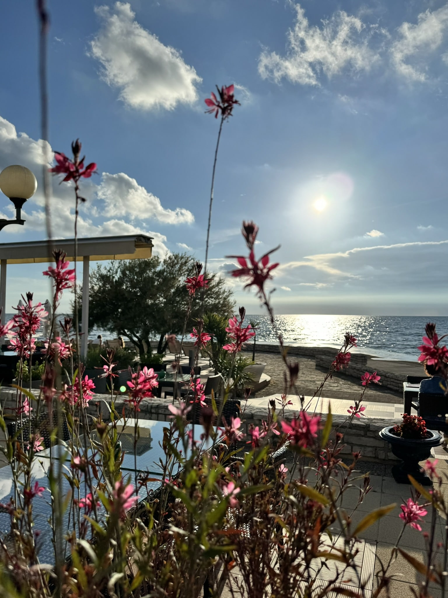 Melina Jurčić Melinadigital Foto