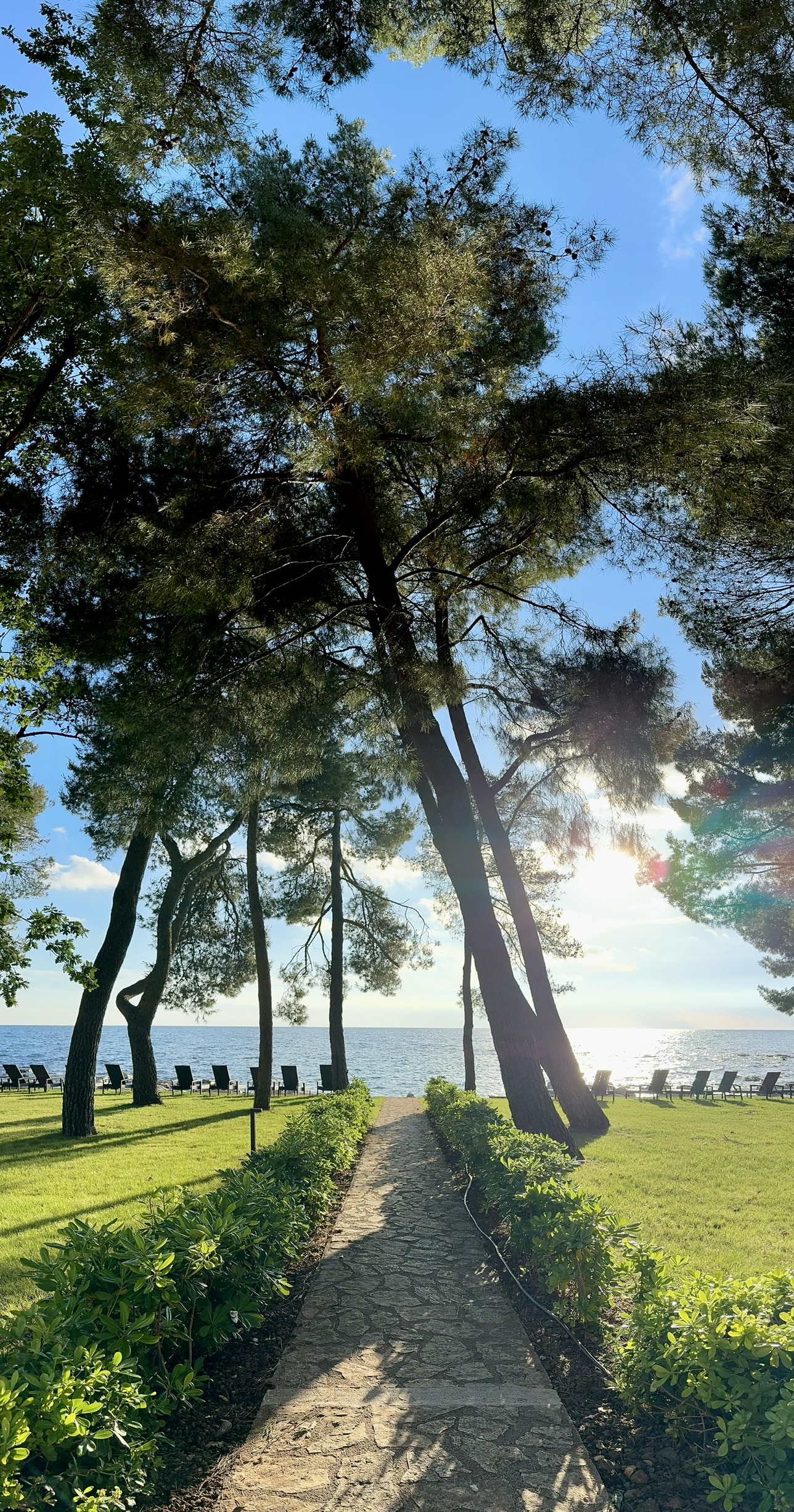 Melina Jurčić Melinadigital Foto