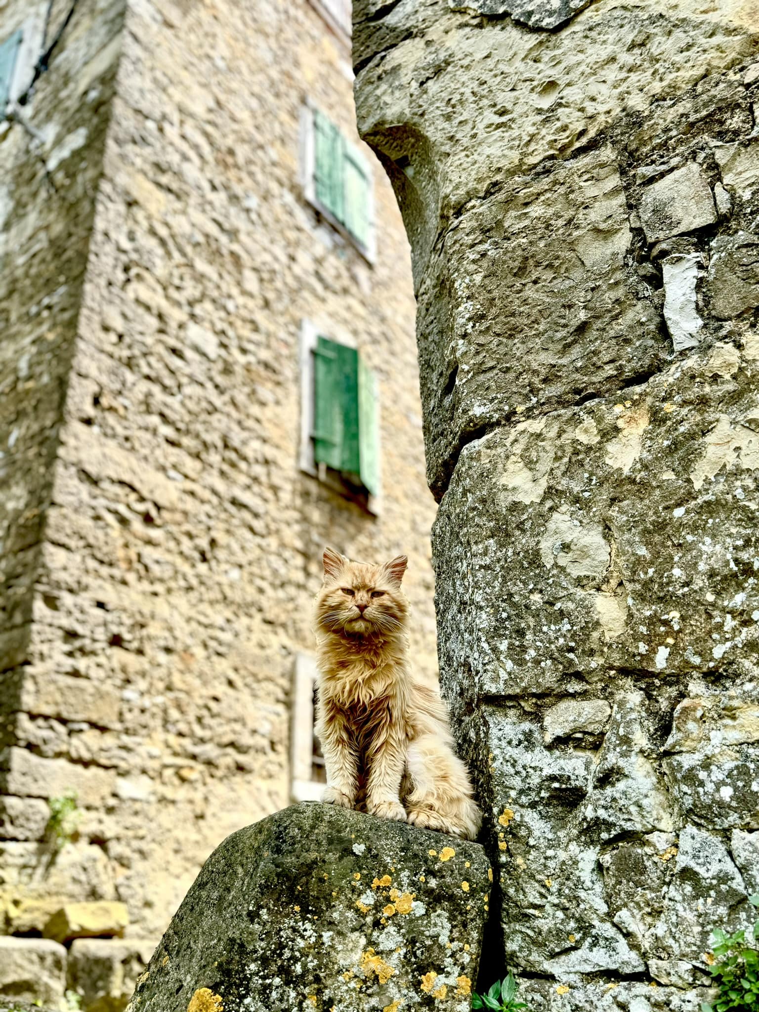 Melina Jurčić Melinadigital Foto