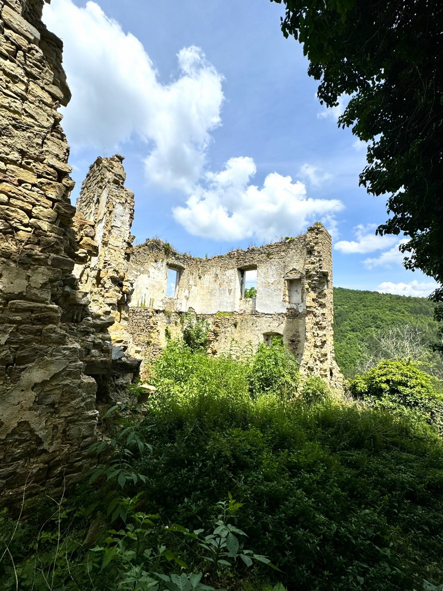 Melina Jurčić Melinadigital Foto