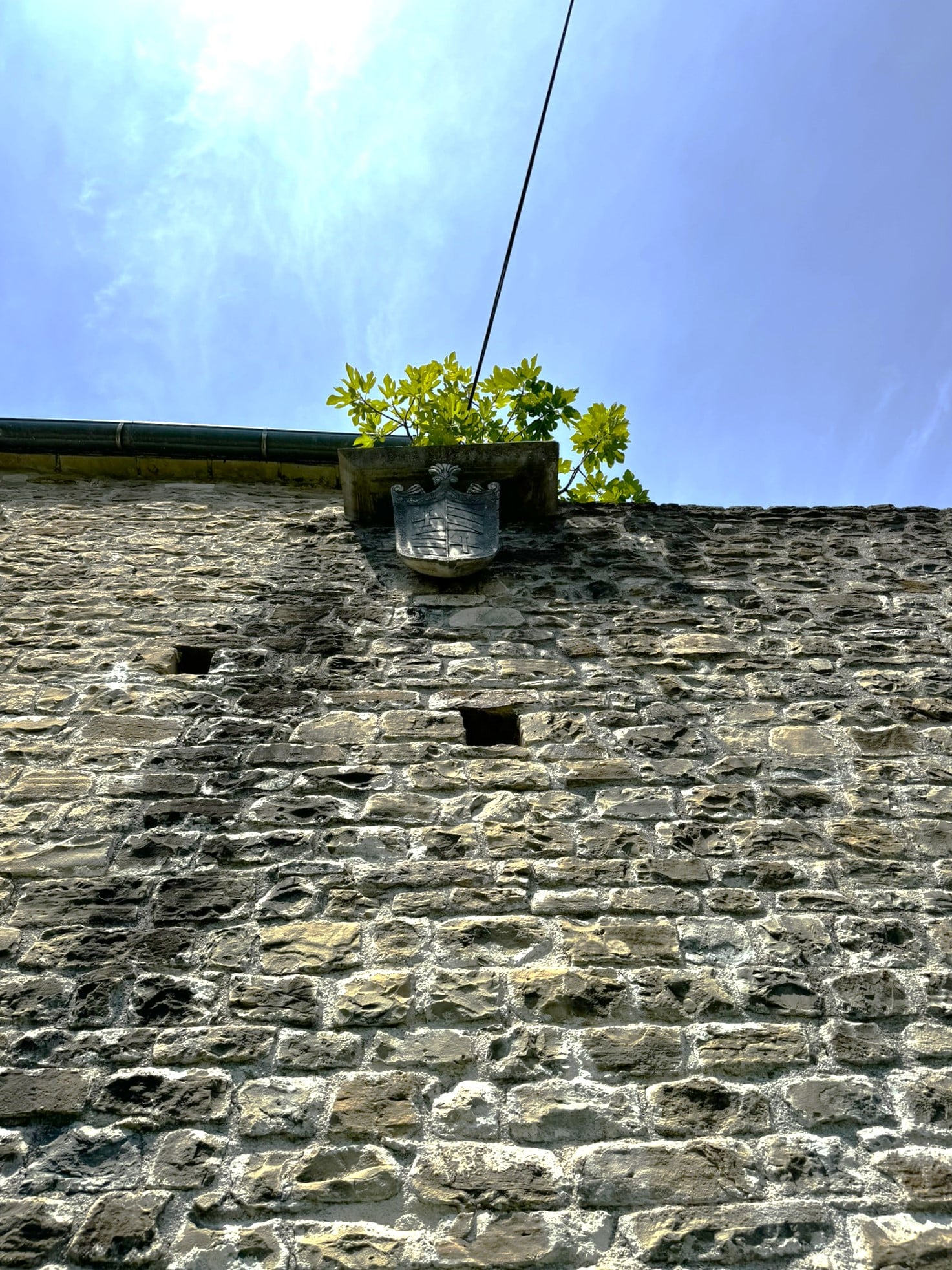 Melina Jurčić Melinadigital Foto