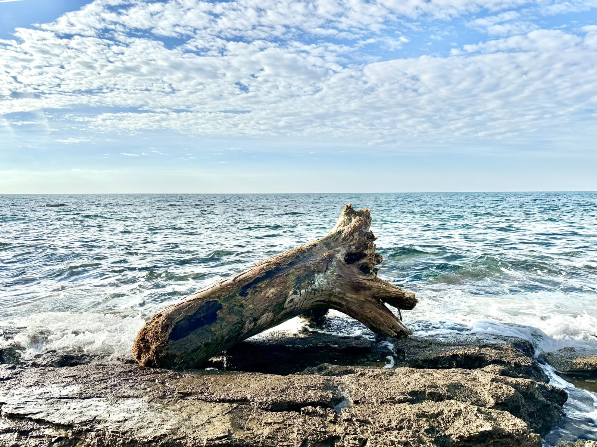 Melina Jurčić Melinadigital Foto