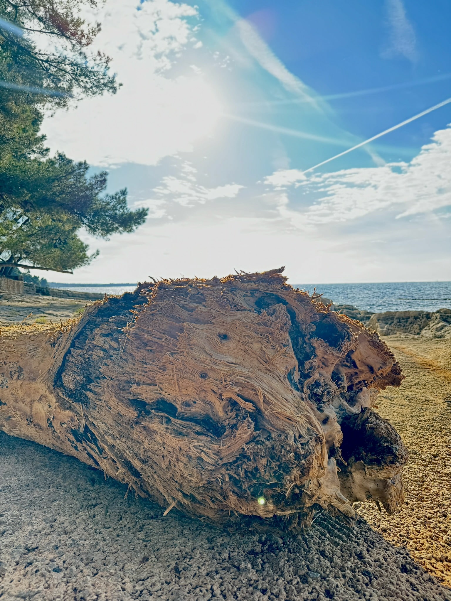 Melina Jurčić Melinadigital Foto