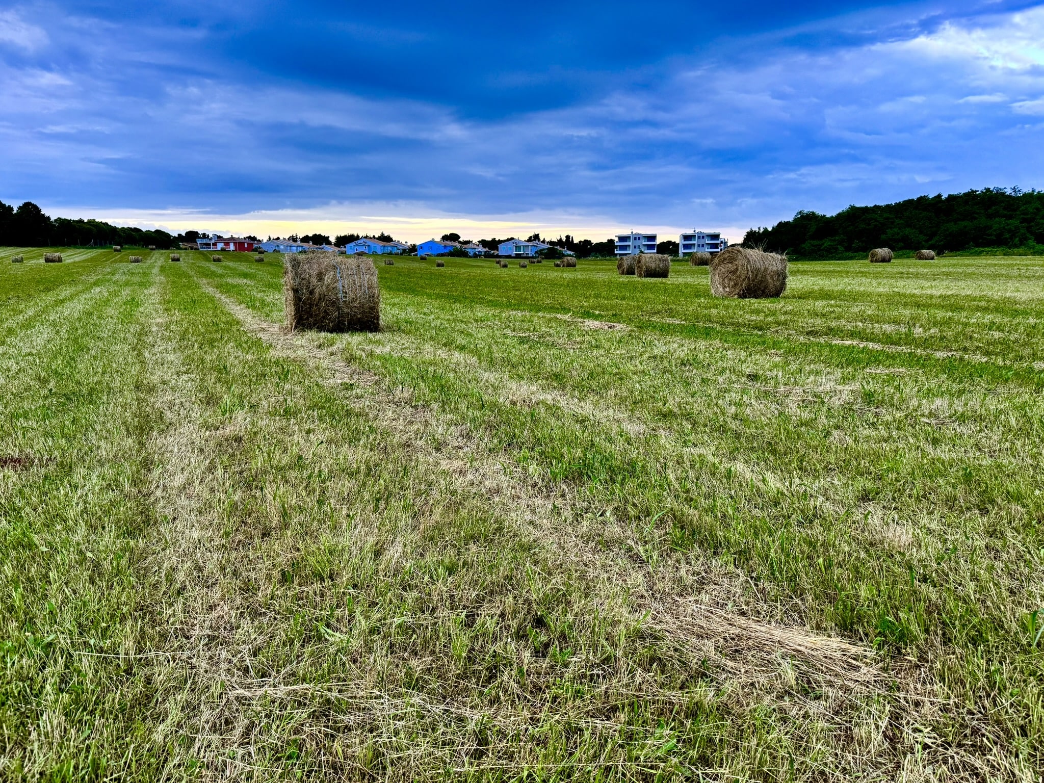 Melina Jurčić Melinadigital Foto