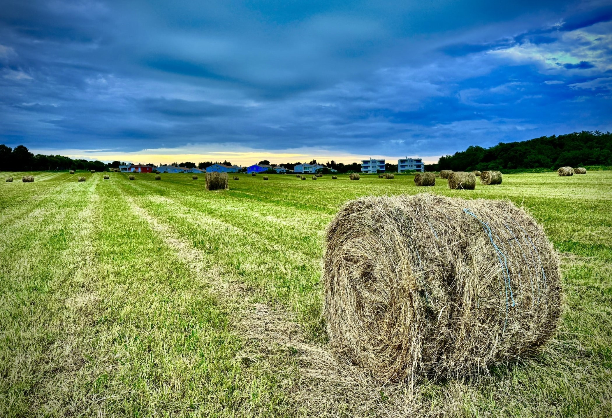Melina Jurčić Melinadigital Foto