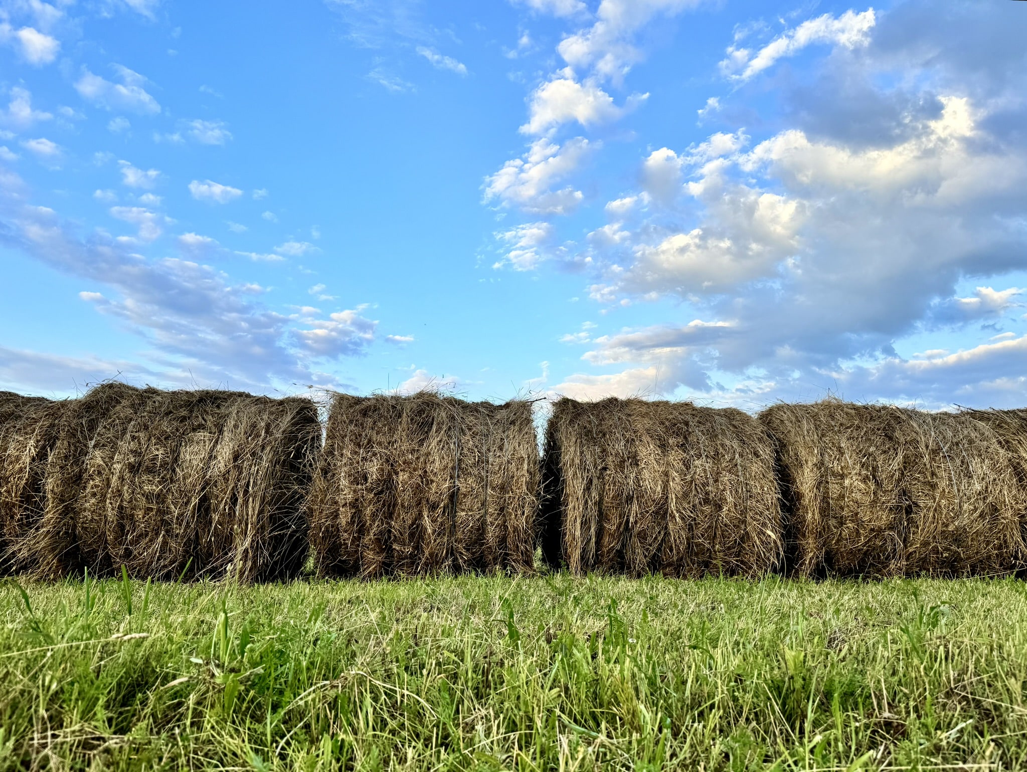Melina Jurčić Melinadigital Foto