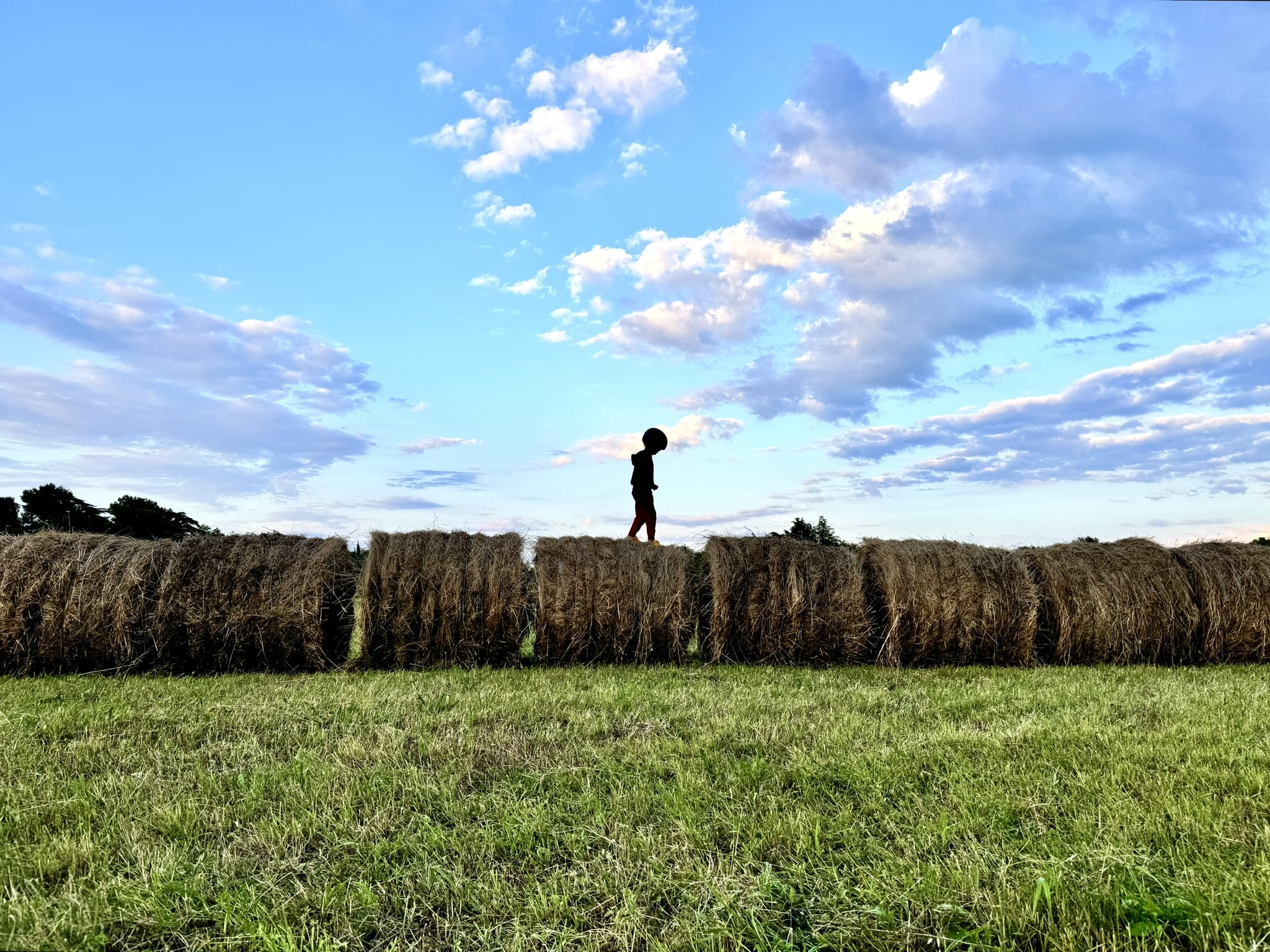 Melina Jurčić Melinadigital Foto