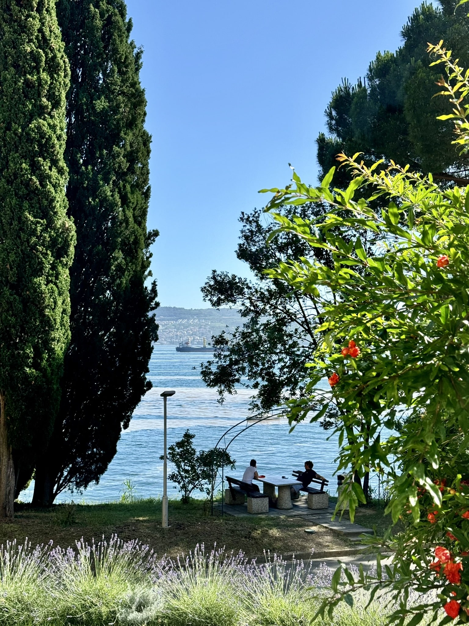 Melina Jurčić Melinadigital Foto