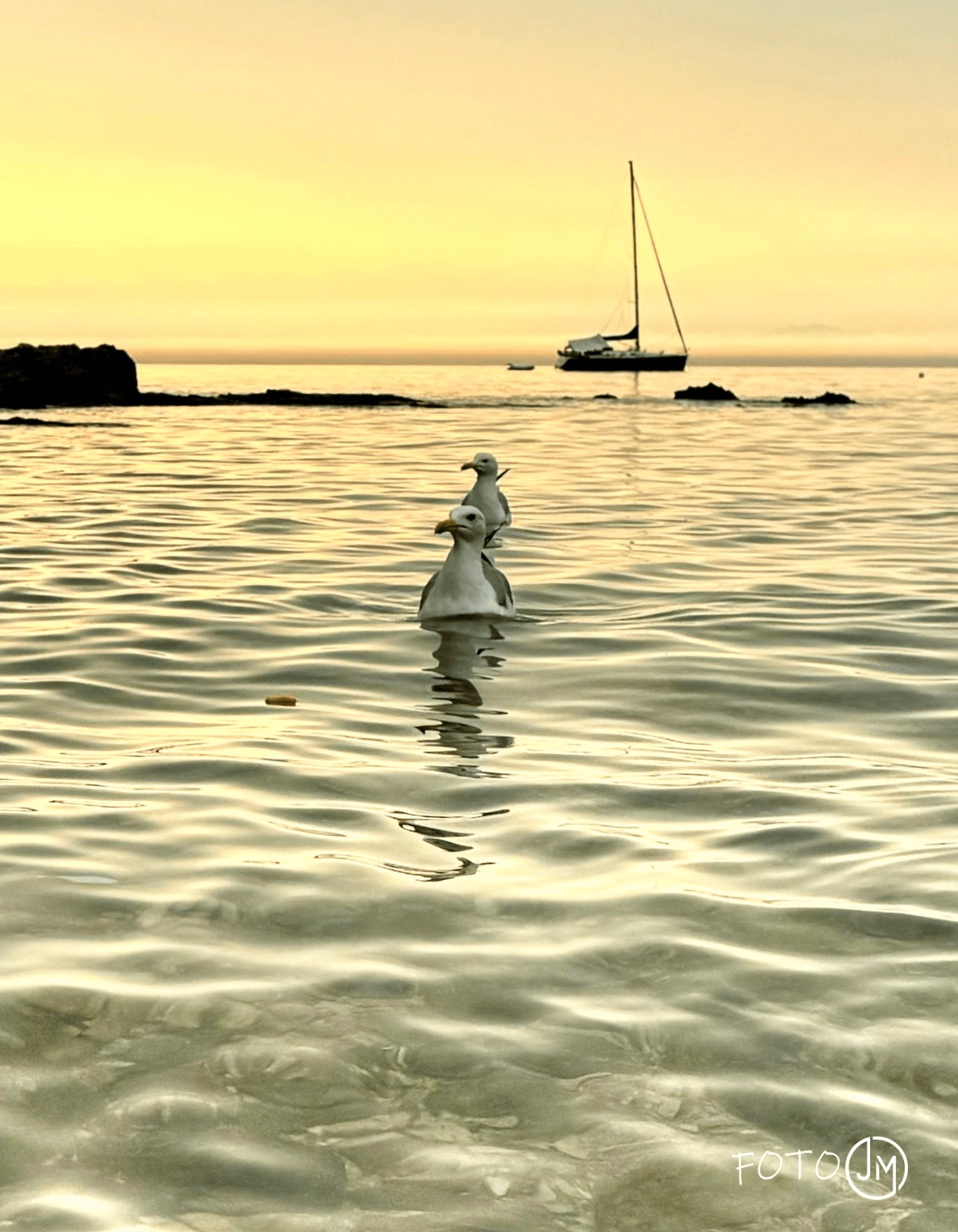 Melina Jurčić Melinadigital Foto