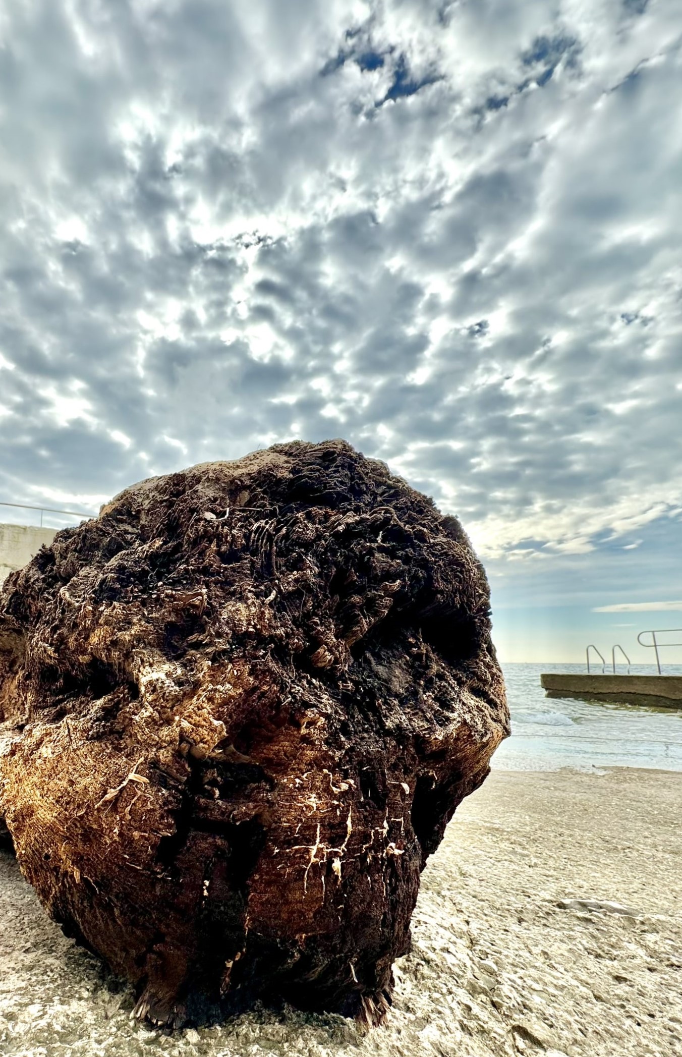 Melina Jurčić Melinadigital Foto