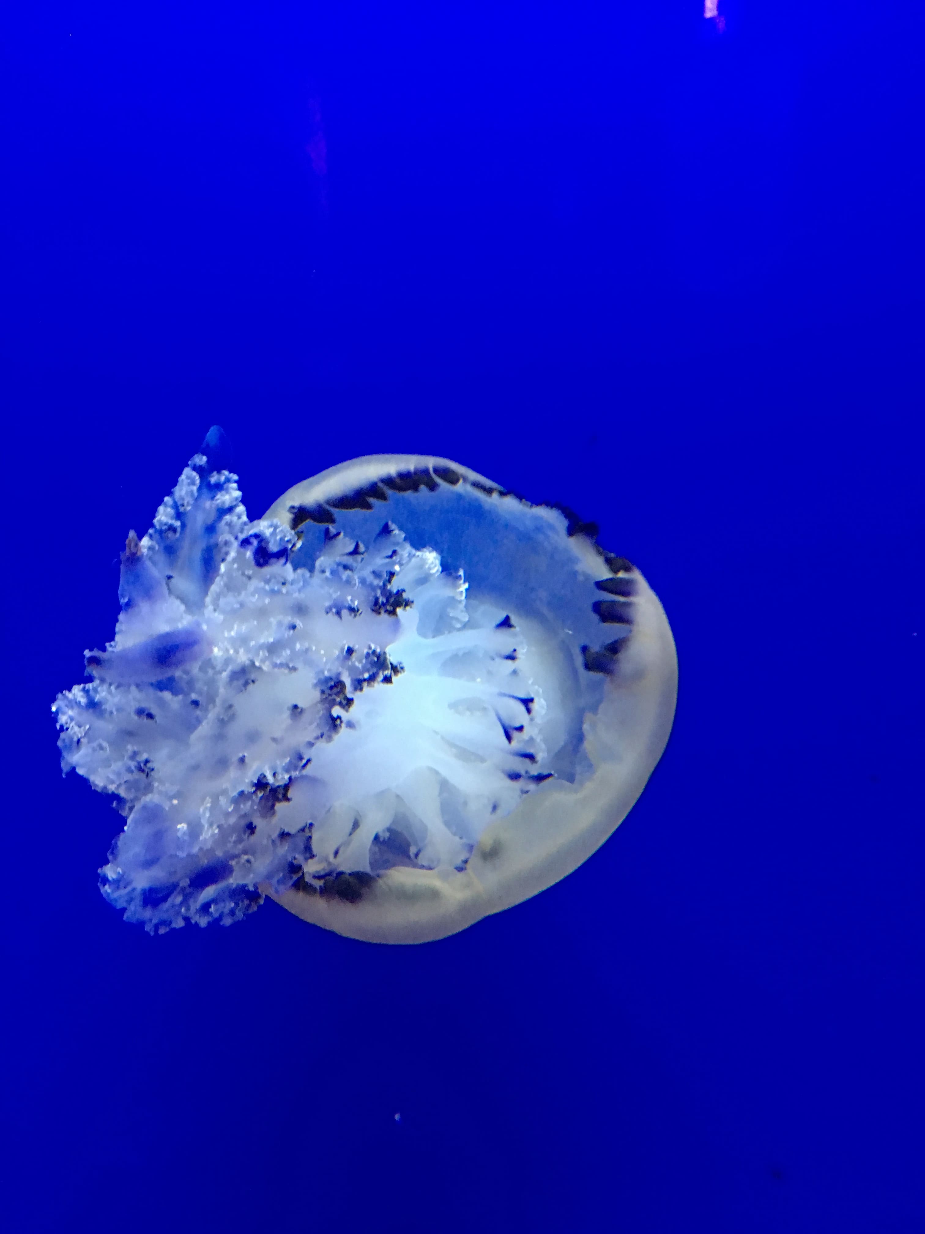 Melina Jurčić Melinadigital Foto