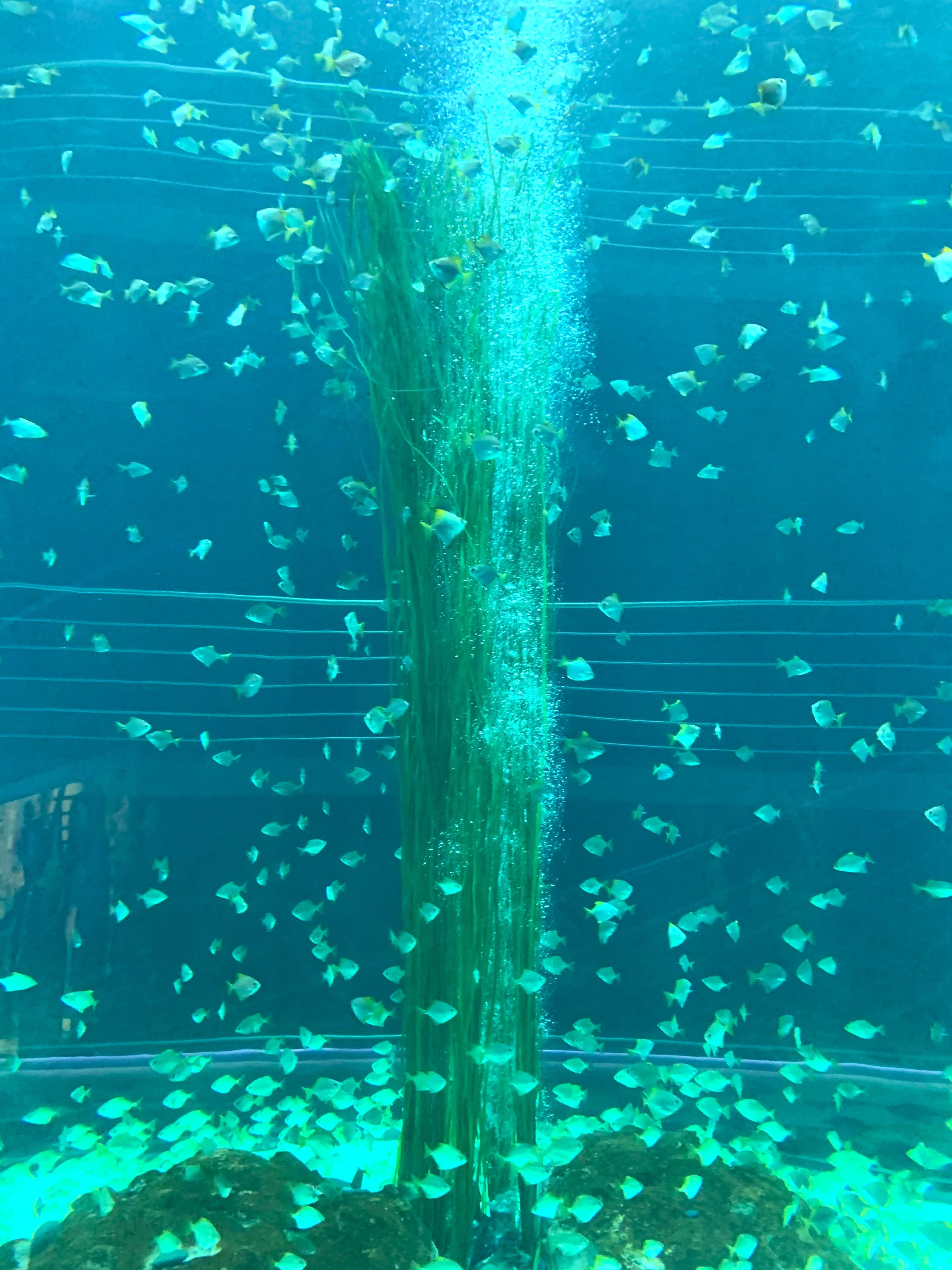 Melina Jurčić Melinadigital Foto