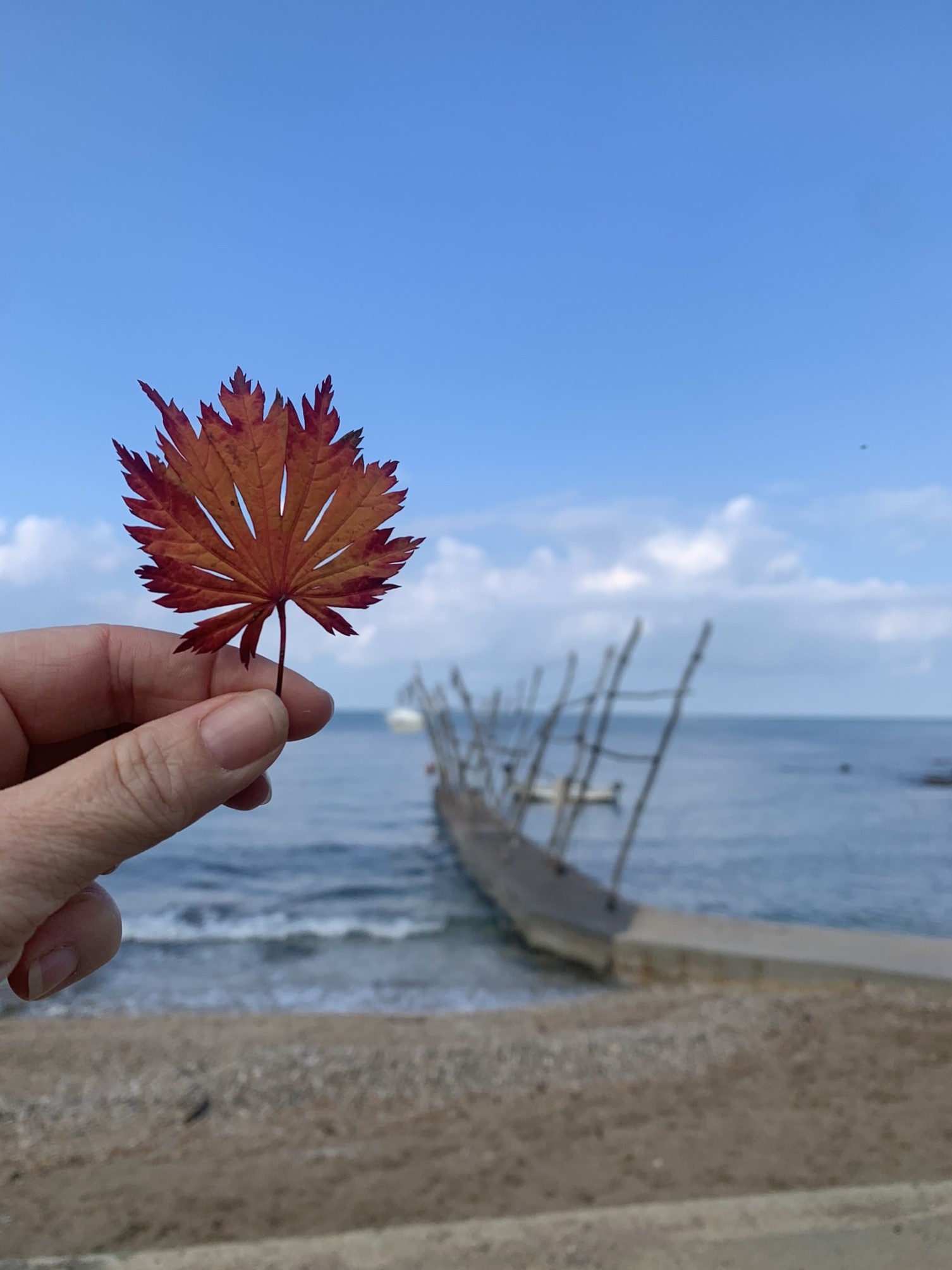 Melina Jurčić Melinadigital Foto