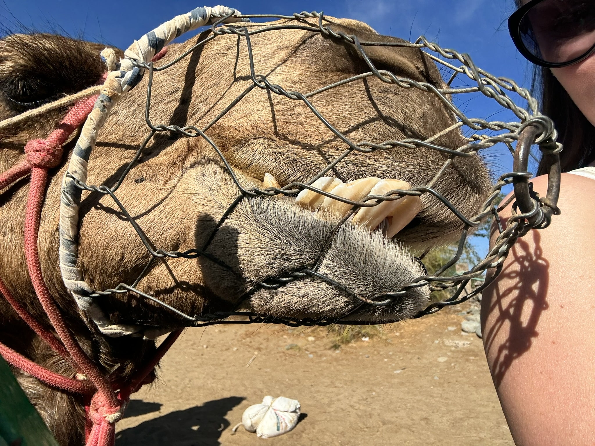 Melina Jurčić Melinadigital Foto