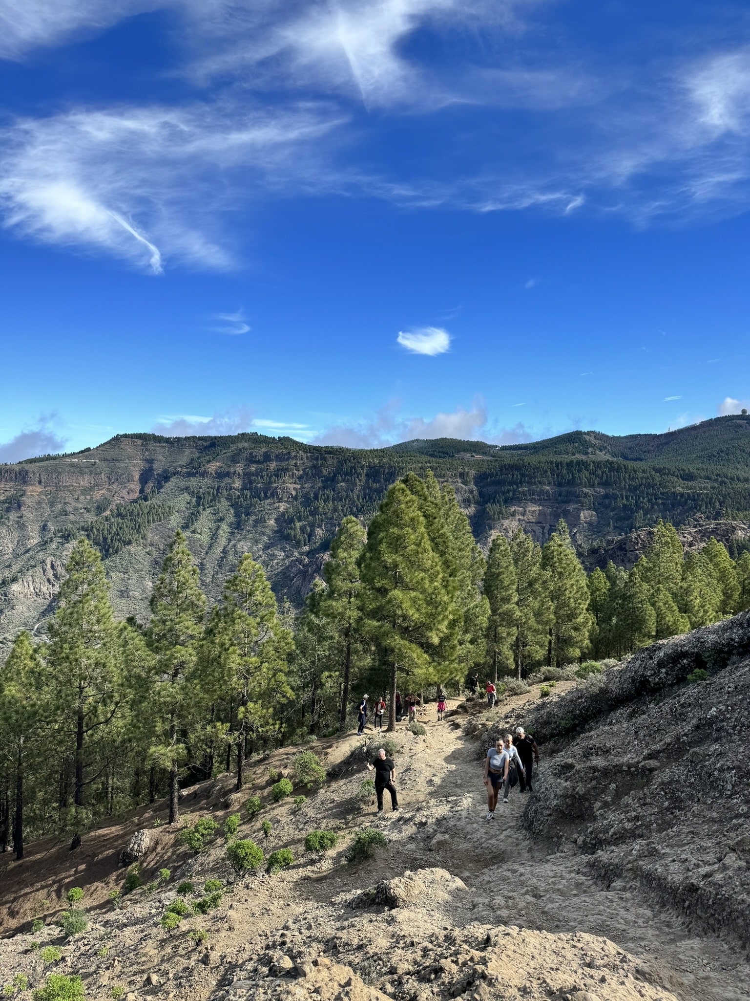 Melina Jurčić Melinadigital Foto