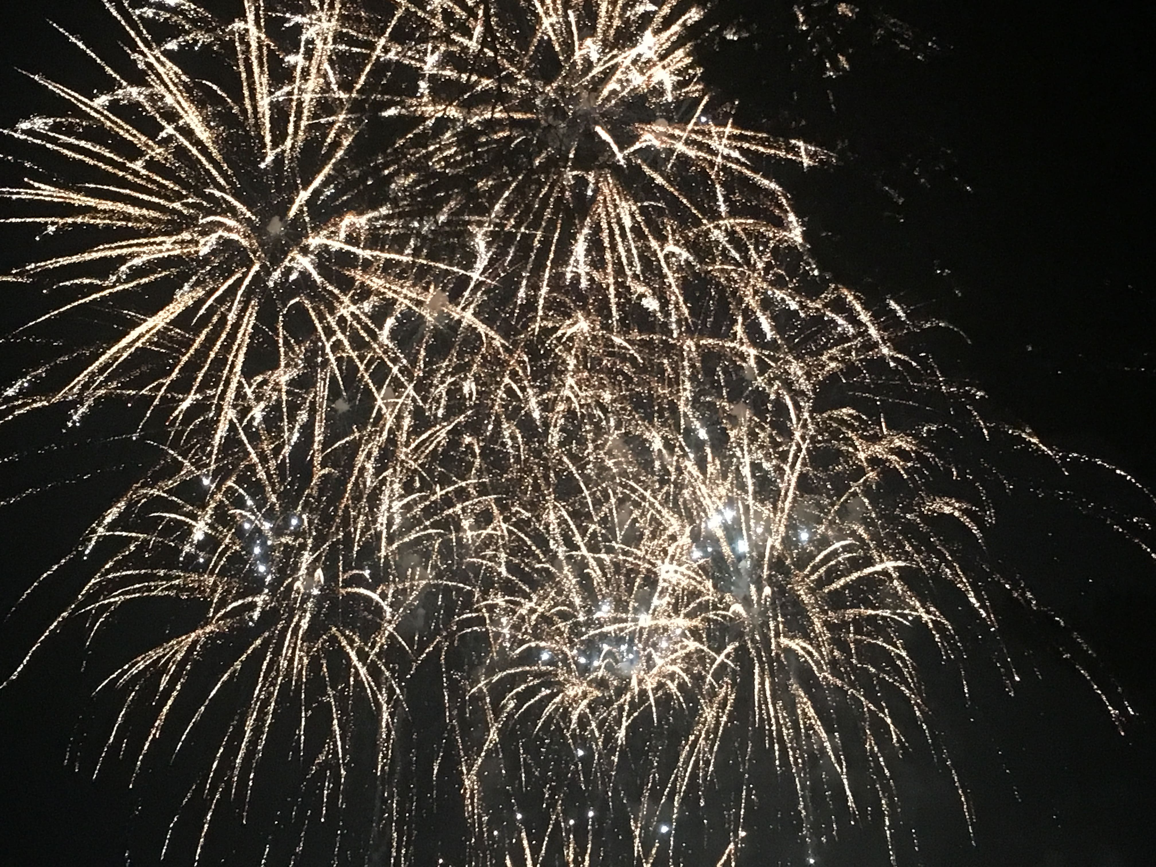 Melina Jurčić Melinadigital Foto