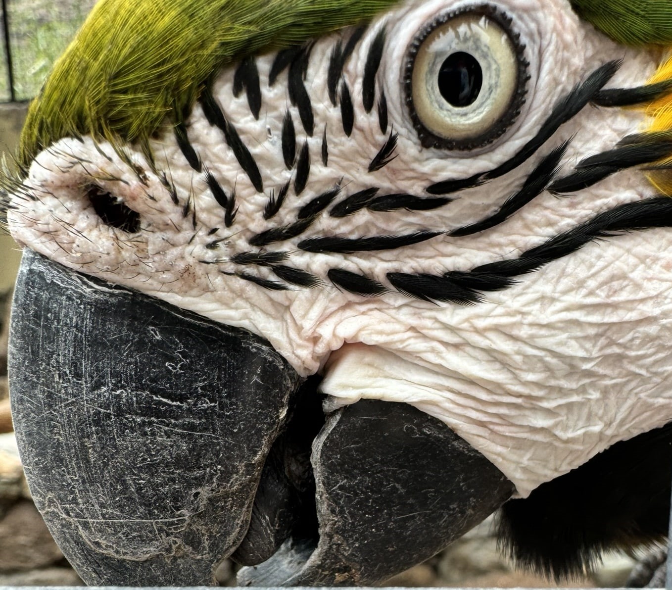 Melina Jurčić Melinadigital Foto